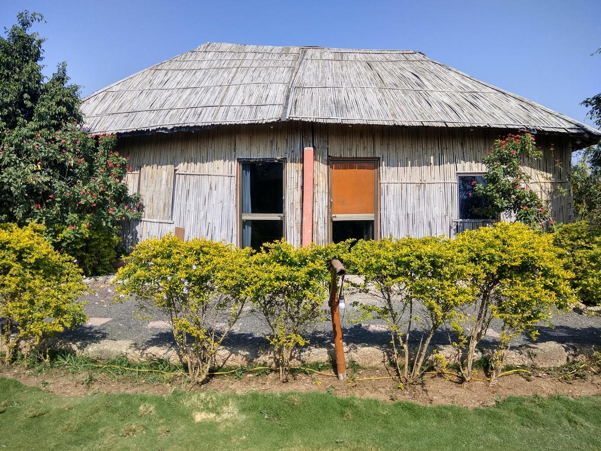 The Hillview Camp Resort Sasan Gir Exterior foto